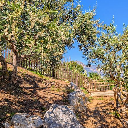 Ci Vulia B&B - Sicilia Sea, Pool, Bbq, Tv, Wi-Fi アルカモ・マリーナ エクステリア 写真