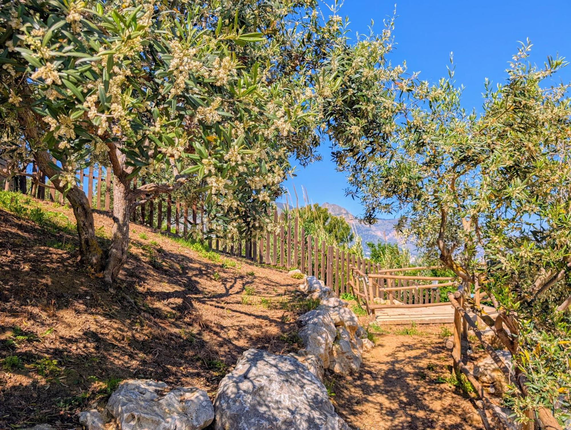 Ci Vulia B&B - Sicilia Sea, Pool, Bbq, Tv, Wi-Fi アルカモ・マリーナ エクステリア 写真